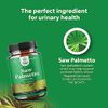 Extra Strength Saw Palmetto Extract - Advanced Saw Palmetto for Women and Men's Hair Growth and Urinary Support with Plant Sterols and Flavonoids - 500mg Herbal Saw Palmetto Supplement - 100 Capsules