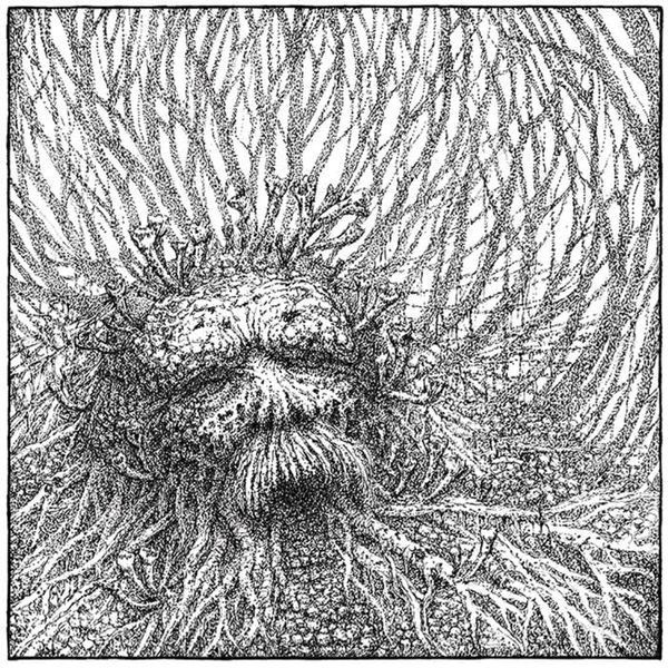 Nemorous (White/Black Vinyl) [VINYL]