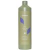 ECHOSLINE No Yellow Shampoo 1000 ml