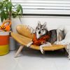 Midlee Witch Halloween Decorative Dog Collar Costume- Medium