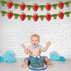 Seyal® Real Strawberry Garland Decoration