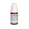 Candida albicans C200 DHU Globuli, 10 g Globuli