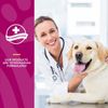 NaturVet Scoopables Glucosamine DS Plus Dog Supplements