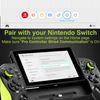 Hawksbill Switch Compatible Handheld Controller for Nintendo Switch, Plug and Play, Charging, Turbo and Auto Function