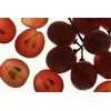 antioxidant rich supplement - GRAPE SEED EXTRACT 150mg - improve collagen 1B