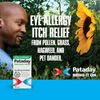 Pataday Once Daily Extra Strength Eye Allergy Itch Relief Drops 1 Count