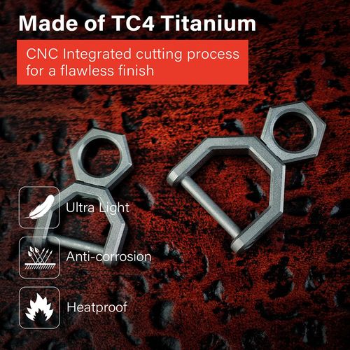 MecArmy Titanium D Ring Keychain Key Fob Holder D Ring Keychain with Screw Shackle for Car Keys Purse for Women Men(Lagre)