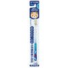 taisho pharmaceutical dentist elementary school regular pack of 12