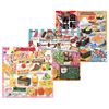 Toyo Origami 863231 Lot Set