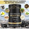 Shilajit Gummies | Pure Himalayan Shilajit 60 Gummies