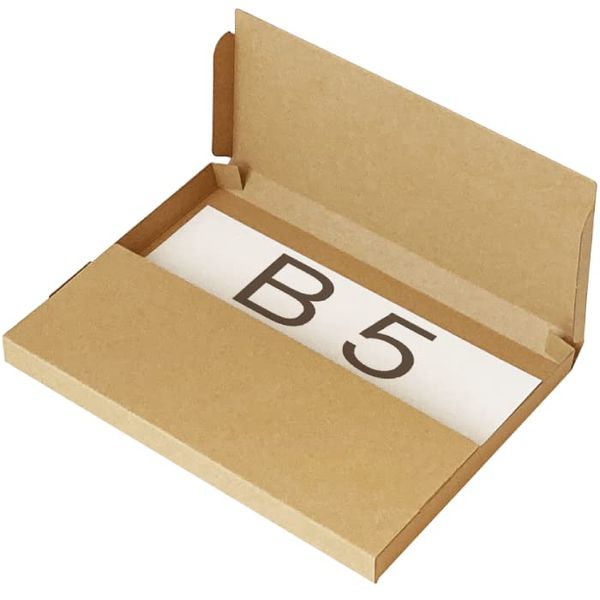 Earth Cardboard, Nekoposu Yu Packet Compatible, B5, Set of 20, Cardboard, Accessories, Cardboard, Box, Non-Shaped ID0488