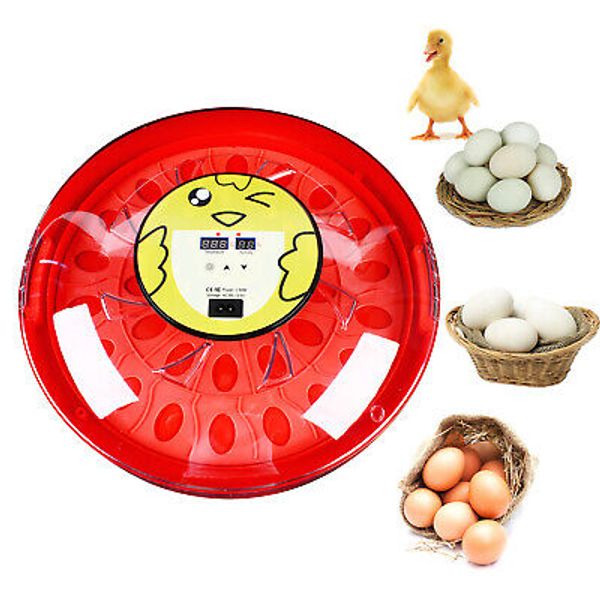 Automatic Egg Incubator for Hatching Eggs Chicken Ducks Goose Family Use 30 Eggs