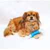 Clean Mint Barbell & Rope Dog Chew Toy