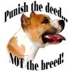 CafePress Antibsl3 Round 4" MDF Holiday Ornament