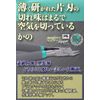 aurochs Ultra-Thin Blade Nipper, For Left Hand, Thin Blade, Single Edge, Tool, Plastic Model, Gray & Mint