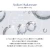 Hyaluronic Spatner, 16.9 fl oz (500 ml)