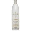 Alfaparf Il salone Glorious shampoo 500ml - for dry to damaged hair