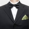 TIES R US Plain Sage Green Pocket Square