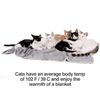 PetFusion Premium Medium Hundedecke (112x86 cm). Reversible Grey Micro Plüsch. [100% weicher Polyester]