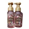 Bath & Body Works Foaming Hand Soap (Strawberry Snowflakes 2 pk)