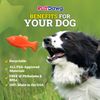 Ruff Dawg Flying Fish Floating Dog Toy Assorted Neon Colors