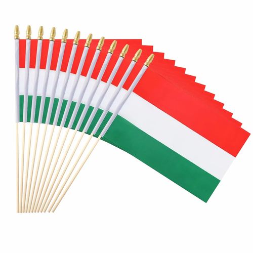 Ckexin 25Pack Small Hungary Flag Handheld Mini Hungarian Flags on Stick 5x8 Inch