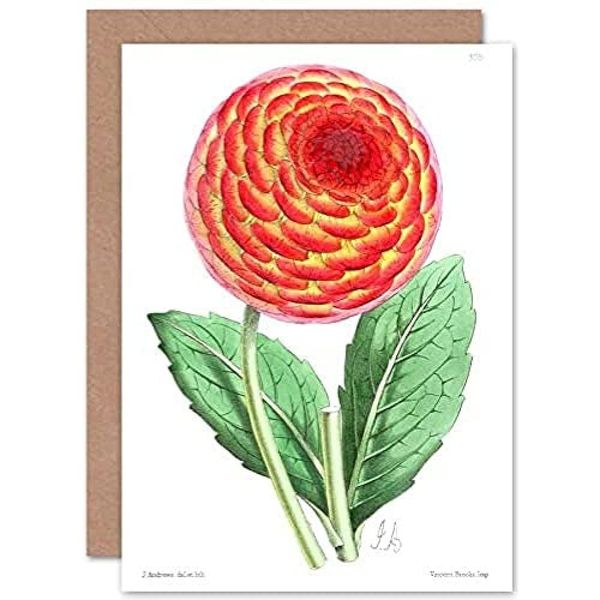 Flower Red Orange Dahlia Greeting Card With Envelope Inside Premium Quality