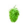 German Tettnang Hop Pellets 1 Oz.