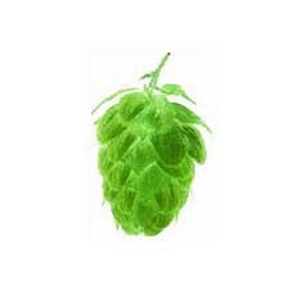 German Tettnang Hop Pellets 1 Oz.