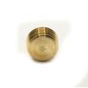 Thrifco 5318115 1/8 inch Brass Countersunk Plug