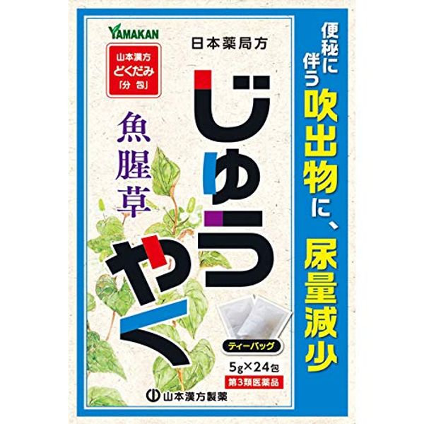 【第3類医薬品】山本漢方どくだみ「分包」 5g×24 ×2