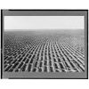Photo: Vernon,Texas,1938,Basin Lister,Catch Moisture,Penetration into Soil,Farming