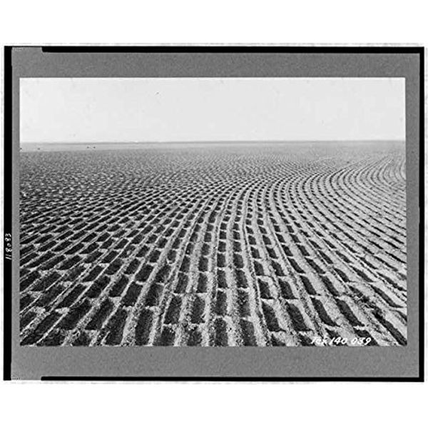 Photo: Vernon,Texas,1938,Basin Lister,Catch Moisture,Penetration into Soil,Farming