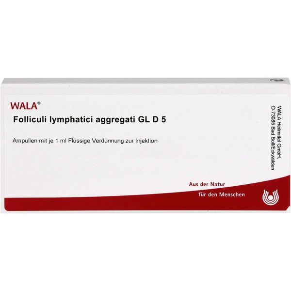 Folliculi Lymphatic Aggr. GL D 5 Ampoules
