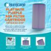 Hurricane 2 Pack HF6430-01P Platinum Purple Spa Filter Cartridge Replacement