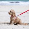 HUGO & HUDSON Easy Walk Dog Harness Adjustable No-Pull Step-in Training Vest, Red, Size 2