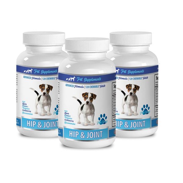 dog bone care - HIP AND JOINT SUPPORT FOR DOGS 3B- dog liver supplement