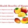 Make Brain Strong Caps - African Mango Complex 1200mg - Acai Berry Juice 2B
