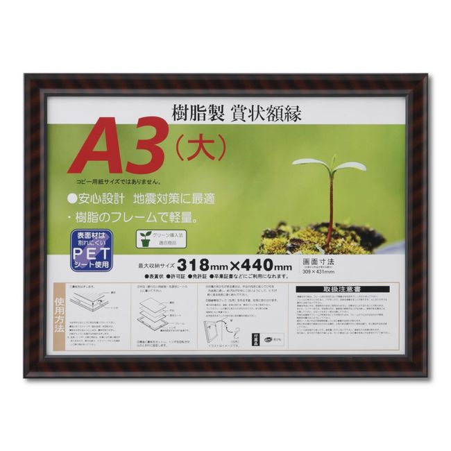 Daisen J335B3400 Frame Award Plaque Gold Rack R A3 Large Resin Shrink Pack