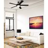 Westinghouse 7224200 Comet Indoor Ceiling Fan with Light, Matte Black