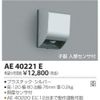 Koizumi Lighting AE40221E Exterior Light, Automatic Lighting Sensor Switch, Child Device with Motion Sensor