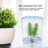 Mini Breeding Box, Mini Fish Tank, Aquatic Plants Incubator for Fish Tank (Single Component)