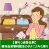 Kaorimshuda Botanical Effective for 1 Year Clothing Insect Repellent, For Drawers & Costume Case, 24 Pack, Lavender & Geranium