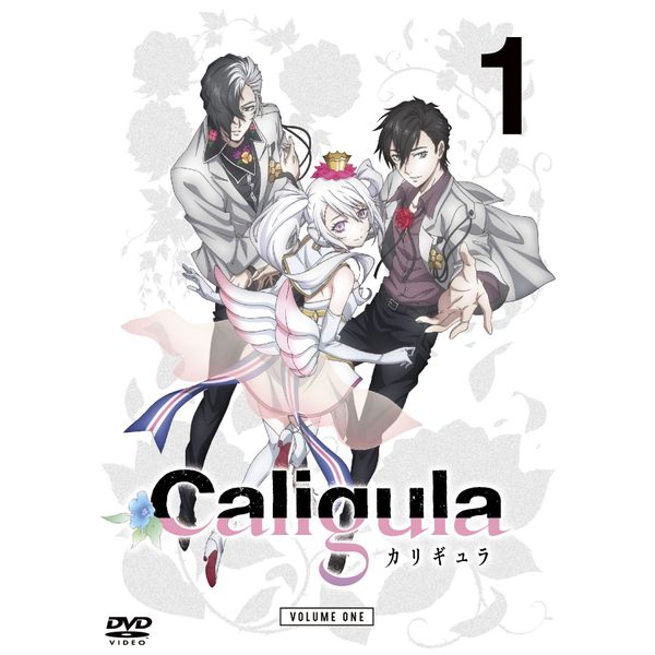 TV Anime "Caligula – karigyura – " Harry Potter And The Chamber Of Secrets [DVD] (Sale Event Ticket priority with application ticket)