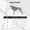 Cute Dachshund No Pull Dog Harness Adjustable Soft Padded Pet Vest with Easy Control Handle Large