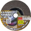 Yanase TM06 Woodworking Top Disc A#100