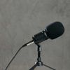 Zoom ZDM-1 Dynamic Podcast and Vocal Microphone