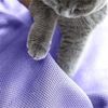 at Bed Dog Bed Pet Hammock Bed Free-Standing Cat Sleeping