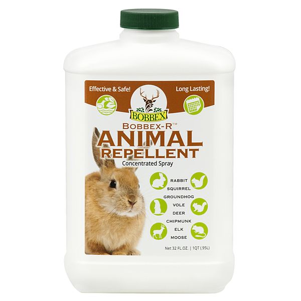 Bobbex Concentrated Animal Repellent Rabbit, Squirrel, and Chipmunk Repeller Concentrate (32 oz.) B550120