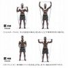 erugam Muscular Band (Standard), Circumference Approx. 80.7 inches (208 cm)